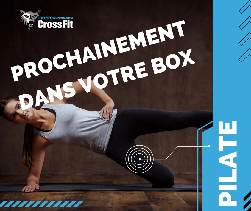 Pilate Epinal la bêtes des vosges